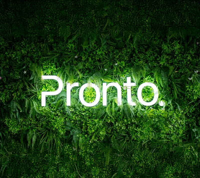 Paid Social Executive